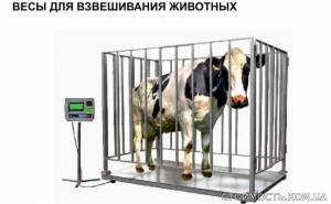 Весы для взвешивания животных | Стоимость, прайс-листы и цены в городе Харьков