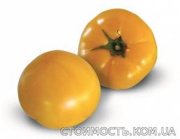 Семена желтого томата KS 10 F1 фирмы Китано | Стоимость, прайс-листы и цены в городе Херсон
