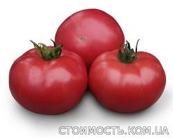 Семена розового томата KS 38 F1 фирмы Китано | Стоимость, прайс-листы и цены в городе Запорожье