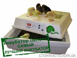 Инкубаторы Лелека для яиц | Стоимость, прайс-листы и цены в городе Черкассы