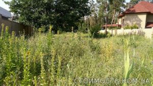 Земельный участок в сосновом лесу на берегу реки Самара. | Стоимость, прайс-листы и цены в городе Новомосковск