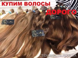 Куплю волосы. Продать волосы дорого. Вся Украина | Стоимость, прайс-листы и цены в городе Луцк