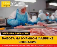 Словакия. Фабрика по переработке куриного мяса. ЗП 1200 евро чистыми | Стоимость, прайс-листы и цены в городе Харьков