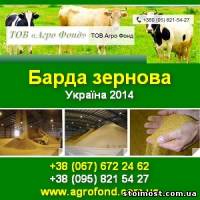 Купить барду Зернову, суху. Протеїн 32-36 %  Україна. | Стоимость, прайс-листы и цены в городе Луцк