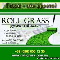 Рулонный газон 2014 Семена газонных трав | Стоимость, прайс-листы и цены в городе Днепр
