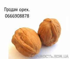Продажа ядра грецкого ореха урожая 2015 года. | Стоимость, прайс-листы и цены в городе Лубны