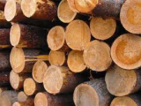 продам дрова | Стоимость, прайс-листы и цены в городе Луцк