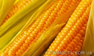 Семена Кукурузы продам | Стоимость, прайс-листы и цены в городе Березань