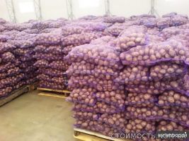 Оптовая продажа картофеля от ТОВ Компании "УкрТор" | Стоимость, прайс-листы и цены в городе Херсон