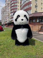 Костюм ведмедя надувний Панда | Стоимость, прайс-листы и цены в городе Киев