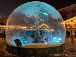 Шоу куля новорічна фотозона | Стоимость, прайс-листы и цены в городе Киев