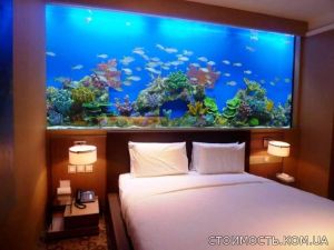 Выбираем аквариум – живую картину в доме онлайн